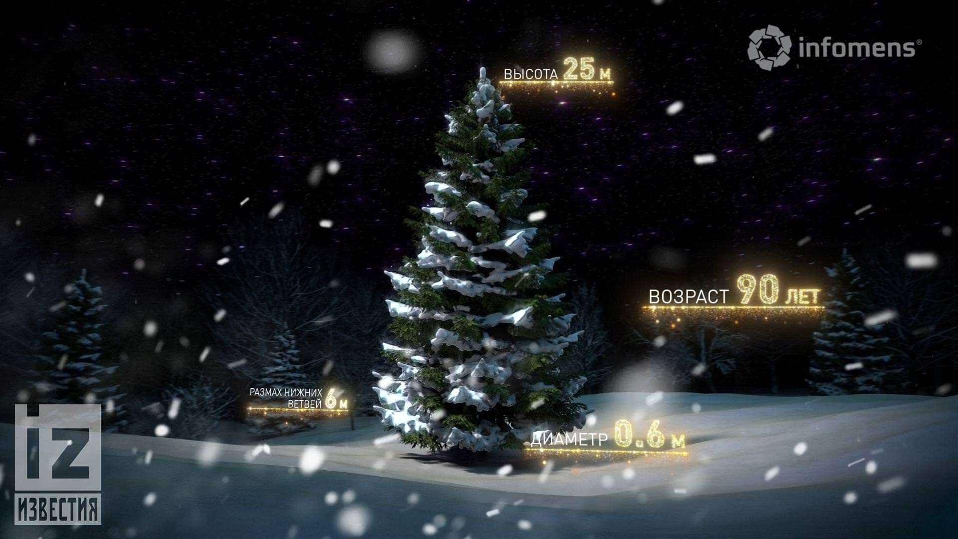 IZ.RU // The main Christmas tree of the country